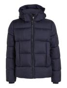 Hooded Quilt Puffer Mw Villakangastakki Pitkä Takki Navy Calvin Klein