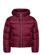 Logo Aop Puffer Jacket Toppatakki Red Calvin Klein