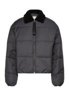 Aviator Puffer Vuorillinen Takki Topattu Takki Grey Calvin Klein Jeans