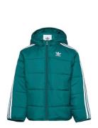 Padded Jacket Toppatakki Green Adidas Originals