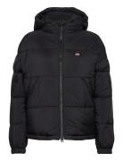 Alatna Over D Puffer Vuorillinen Takki Topattu Takki Black Dickies