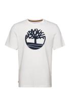 Tree Logo Short Sleeve Tee Tops T-shirts Short-sleeved White Timberlan...