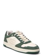 Wright Basketball Sneaker Matalavartiset Sneakerit Tennarit Green Les ...