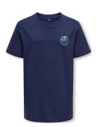 Kobessex S/S Tee Box Jrs Tops T-shirts Short-sleeved Navy Kids Only