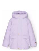 Hayden Toppatakki Purple Molo