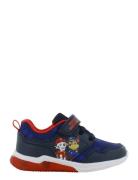 Paw Patrol Sneaker Matalavartiset Sneakerit Tennarit Blue Paw Patrol