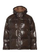 Shelbyll Jacket Vuorillinen Takki Topattu Takki Brown Lollys Laundry