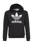 Trefoil Hoodie Sport Sweat-shirts & Hoodies Hoodies Black Adidas Origi...