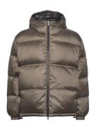 Puffer Down Jacket Vuorillinen Takki Topattu Takki Brown Filippa K