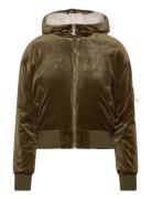 Rydell Bomber Bombertakki Khaki Green Juicy Couture