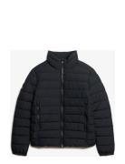 Fuji Emb Padded Jacket Vuorillinen Takki Topattu Takki Navy Superdry