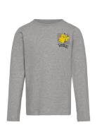 T-Shirt Ls Tops T-shirts Long-sleeved T-shirts Grey Minymo