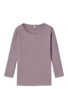 Nmfkab Ls Top Noos Tops T-shirts Long-sleeved T-shirts Purple Name It