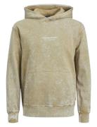 Jorvesterbro Wash Sweat Hood Aw Jnr Tops Sweat-shirts & Hoodies Hoodie...