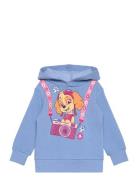 Sweats Tops Sweat-shirts & Hoodies Hoodies Blue Paw Patrol