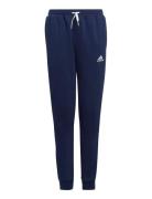 Ent22 Sw Pnty Sport Sweatpants Navy Adidas Performance