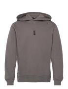 Regular Fit Hoodie Tops Sweat-shirts & Hoodies Hoodies Grey HAN Kjøben...