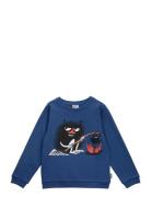 Stinky Collegetröja Ss25 Tops Sweat-shirts & Hoodies Sweat-shirts Blue...