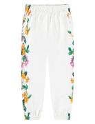 Allen Bottoms Sweatpants White Molo