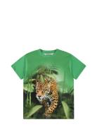 Riley Tops T-shirts Short-sleeved Green Molo
