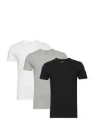 Bci Cotton-3Pk-Ucr Tops T-shirts Short-sleeved Black Polo Ralph Lauren