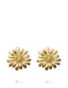 Daisy Earrings Gold Korvakoru Korut Gold Caroline Svedbom