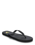 Flip Flop Flipflopit Rantasandaalit Sandaalit Black Lyle & Scott