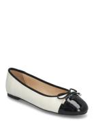 Cate Ballerinat Black Dasia