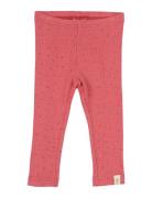 Legging Modal Dot Bottoms Leggings Red Petit Piao