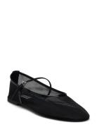 Mash Balerina Ballerinat Black Steve Madden