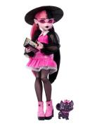 Draculaura Fashion Doll With Pet Count Fabulous And Accessories Toys D...