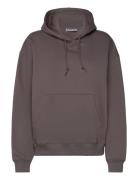 Standard Hoodie Tops Sweat-shirts & Hoodies Sweat-shirts Brown Weekday