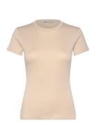 Millan Tops T-shirts & Tops Short-sleeved Beige Tiger Of Sweden