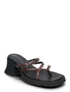 Jaslene Brown Sandal Korolliset Sandaalit Black MIISTA