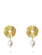 Vassia Pearl Earrings Gold Korvakoru Korut Gold Caroline Svedbom