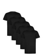 Claudio 5-Pack T-Shirt Cotton Tops T-shirts Short-sleeved Black Claudi...
