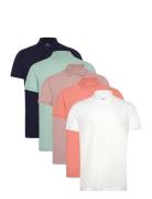 Hco. Guys Knits Tops Polos Short-sleeved Multi/patterned Hollister