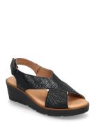 Ivy Kiilakorkokengät Black Dasia