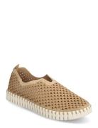 Tulip Slip-In Tennarit Sneakerit Brown Ilse Jacobsen