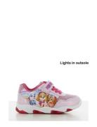 Pawpatrol Sneakers Matalavartiset Sneakerit Tennarit Pink Paw Patrol