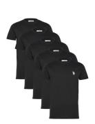Bertil Reg Sj 5 Pk Uspa M Tee Tops T-shirts Short-sleeved Black U.S. P...