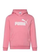 Ess No. 1 Logo Hoodie Fl Ps Sport Sweat-shirts & Hoodies Hoodies Pink ...
