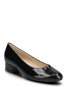 Pumps Shoes Heels Pumps Classic Black Gabor