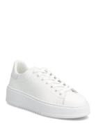 Sibba Matalavartiset Sneakerit Tennarit White Pavement