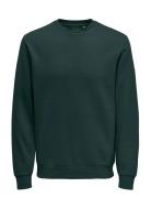 Onsceres Crew Neck Noos Tops Sweat-shirts & Hoodies Sweat-shirts Khaki...