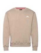 Basic Sweatshirt Sl Tops Sweat-shirts & Hoodies Sweat-shirts Beige Alp...