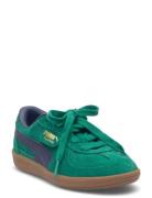 Palermo Ps Sport Sneakers Low-top Sneakers Green PUMA