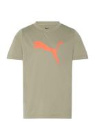 Tad Ess Cat Logo Tee B Sport T-shirts Short-sleeved Green PUMA