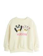 Panda & Cat Sp Sweatshirt Tops Sweat-shirts & Hoodies Sweat-shirts Cre...