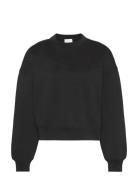 A- Logo Emb French Terry Crewnec Tops Sweat-shirts & Hoodies Sweat-shi...